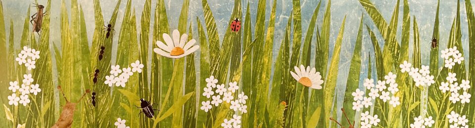 LUNED AARON – ILLUSTRATOR AND WRITER